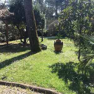 Appartement Old Town In The Green: Federico's Apartment., Florence