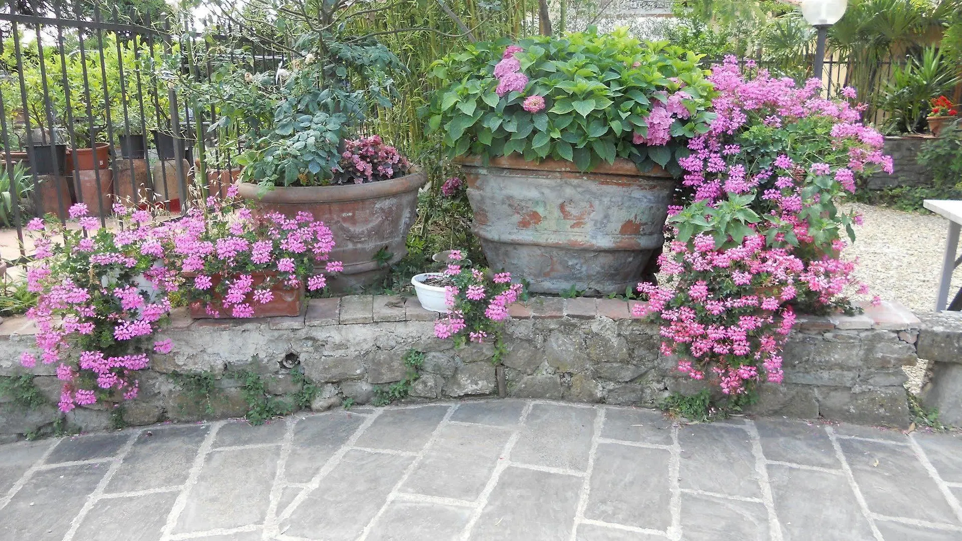 Farm stay Agriturismo Le Macine Florence Italy